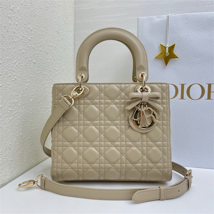 商品細詳を見る:クリスチャンディオール CHRISTIAN DIOR 2026年 レディ ディオール ミニ トートバッグ ショルダーバッグ レディース