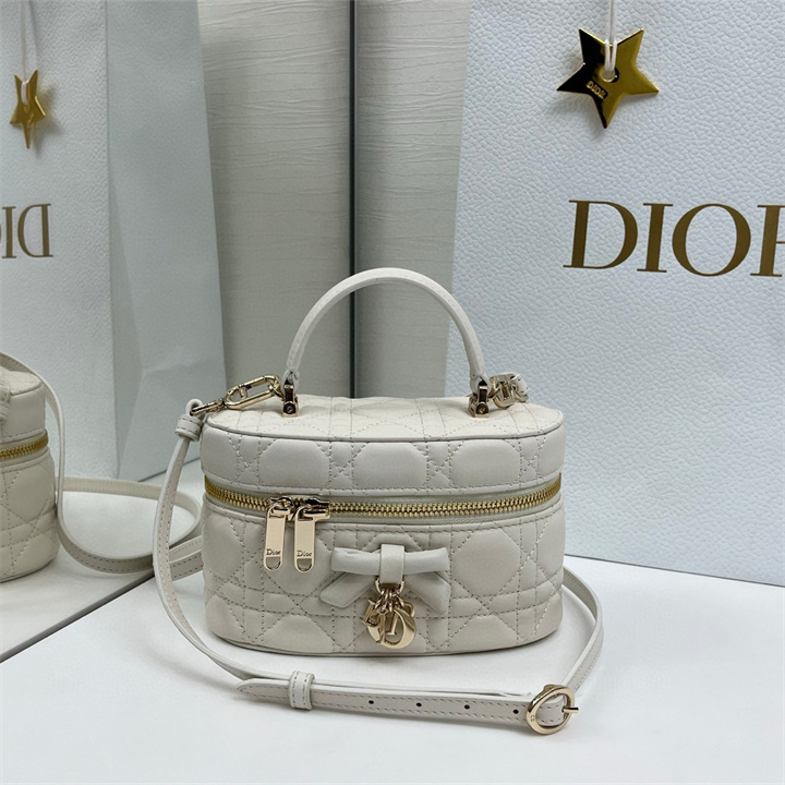 クリスチャンディオール CHRISTIAN DIOR 2026年 ハンドバッグ クラッチバッグ ポーチ ショルダーバッグ